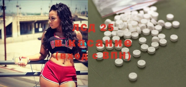 ГАЛЛЮЦИНОГЕННЫЕ ГРИБЫ Кулебаки