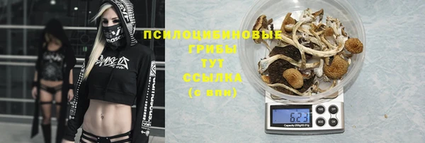 мет Приозерск