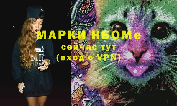 ГАЛЛЮЦИНОГЕННЫЕ ГРИБЫ Кулебаки