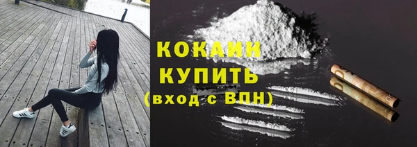 ГАЛЛЮЦИНОГЕННЫЕ ГРИБЫ Кулебаки